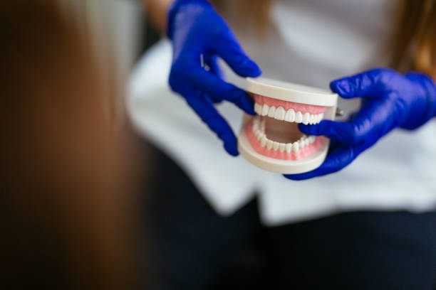  West Park, FL Dental Services Pros